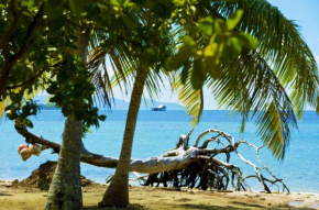 RAIATEA - Studio Tenape